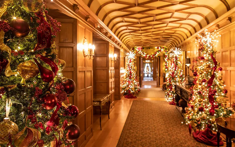 Meadow Brook Holiday Walk Image